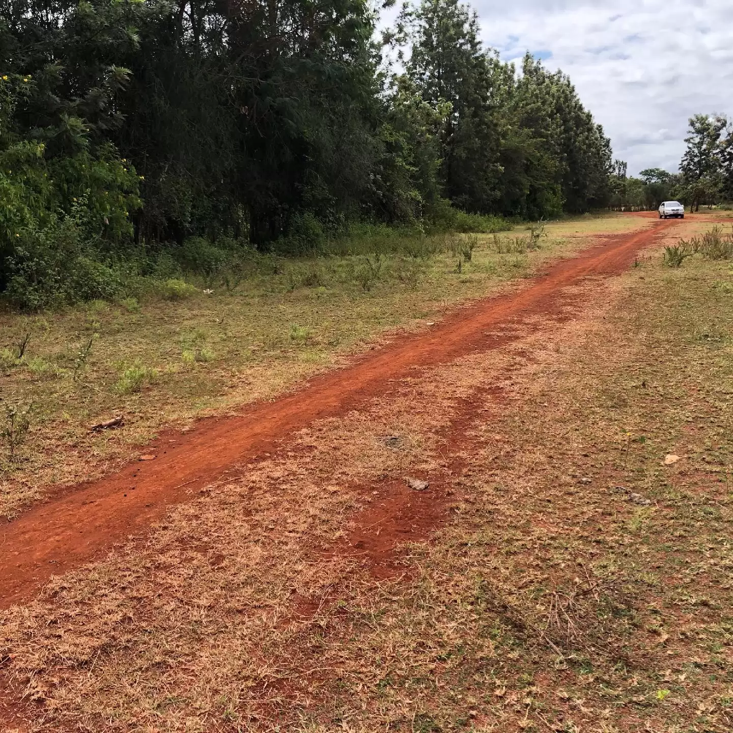 Land for sale in Mwea Kirinyaga County Image