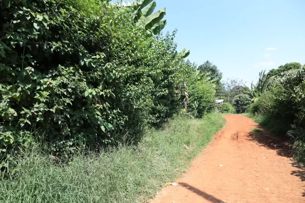 Land for sale in Mwimuto Kitisuru Image