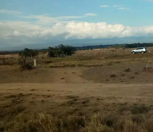 Land for sale in Naivasha Kinungi fly Image