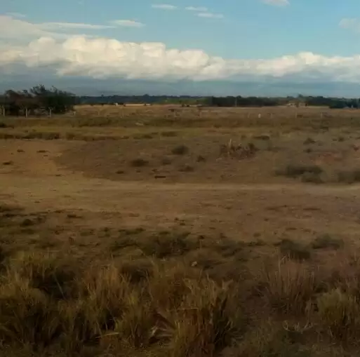 Land for sale in Naivasha Kinungi fly Image