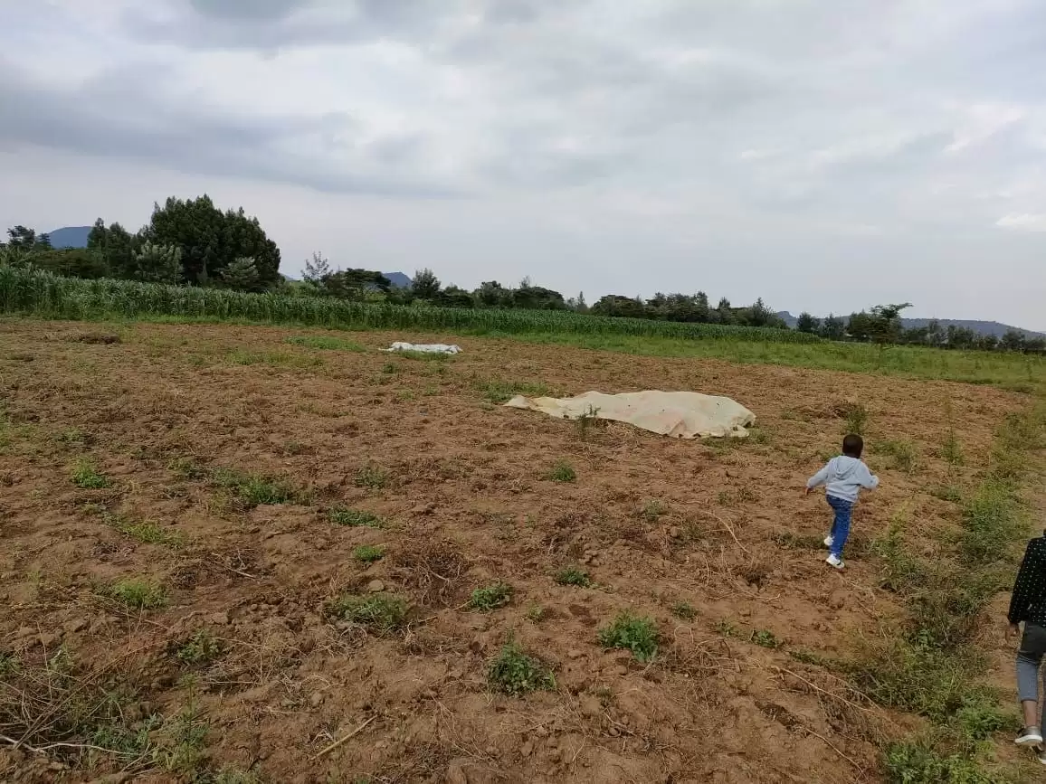 Land for sale in Naivasha Kongoni Image