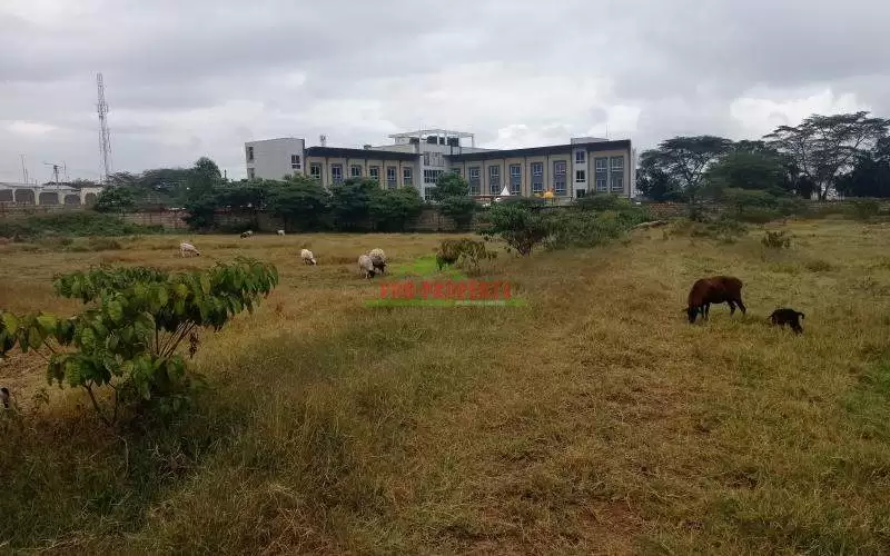 Land for sale in Naivasha Moi South Lake Image