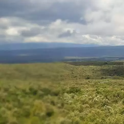 Land for sale in Naivasha near the lake Image