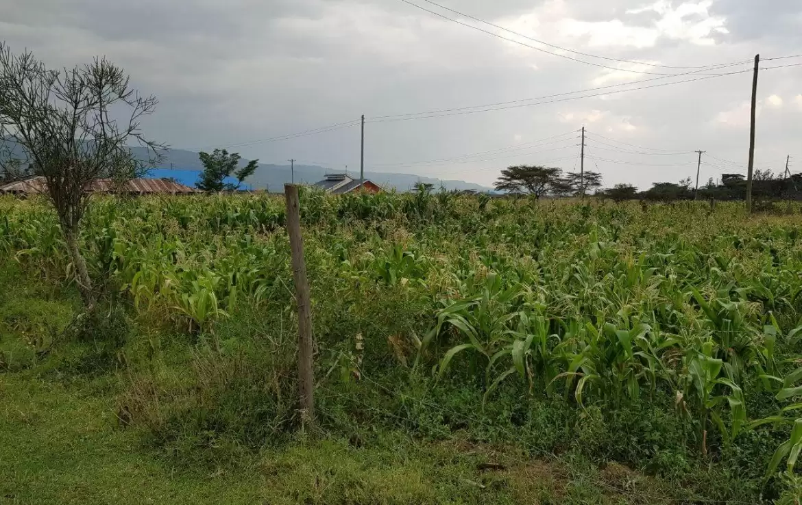 Land for sale in Nakuru Pema Image