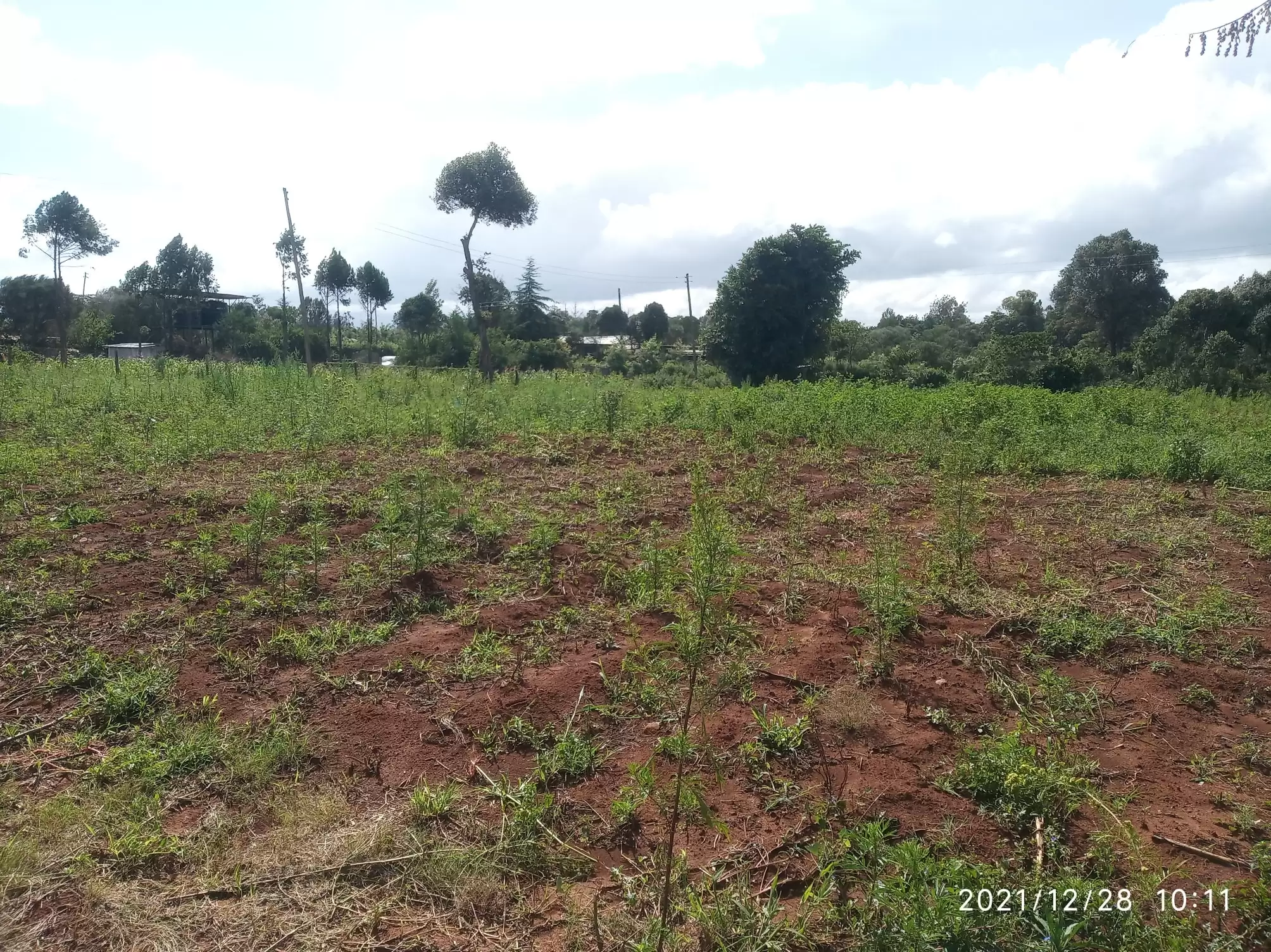 Land for sale in Nanyuki Image