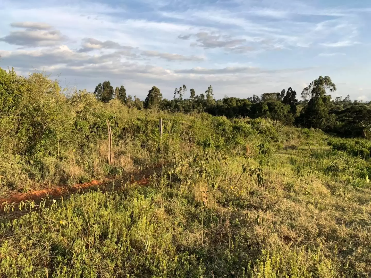 Land for sale in Nanyuki Burguret area Image