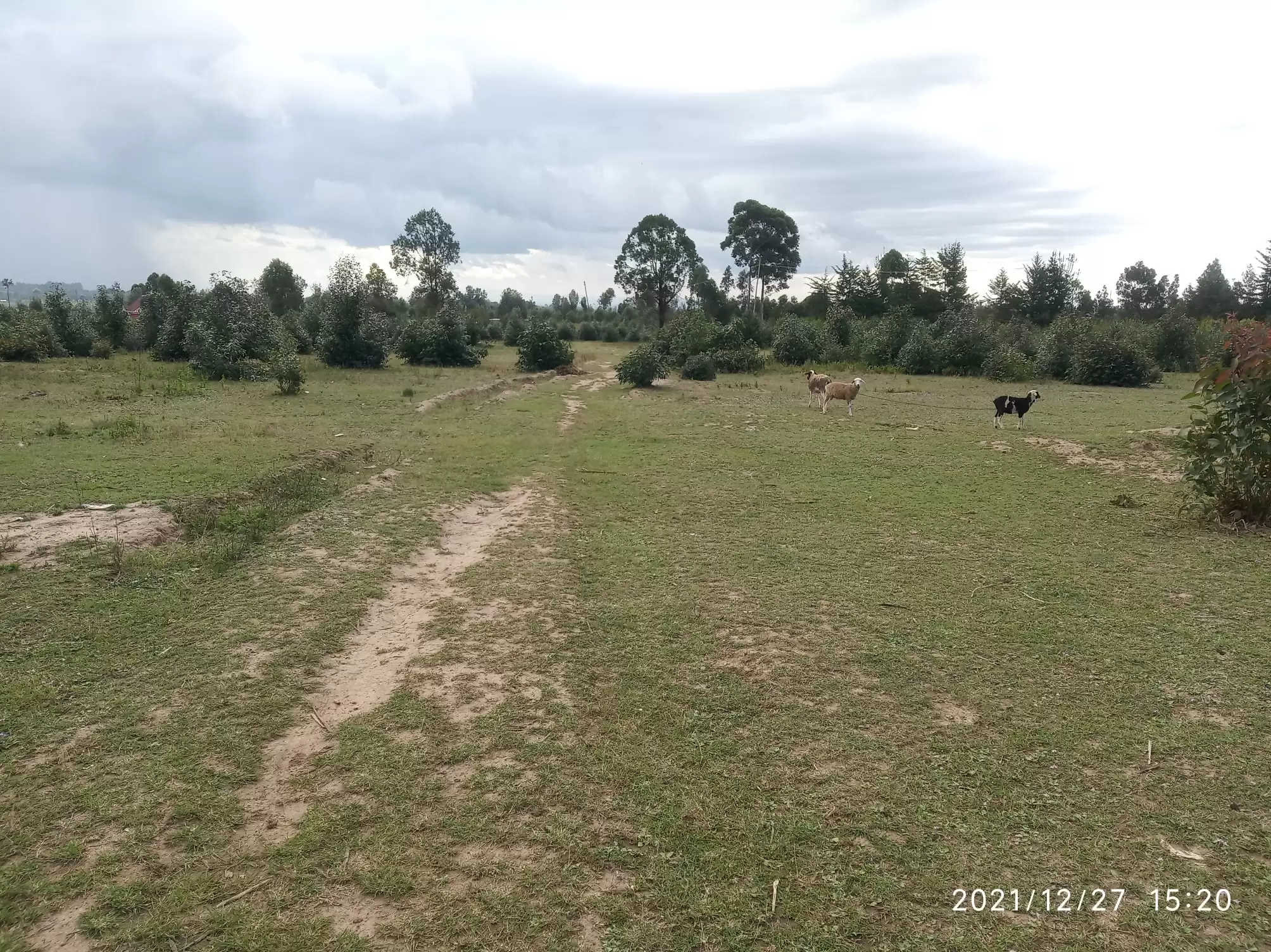 Land for sale in Nanyuki Image