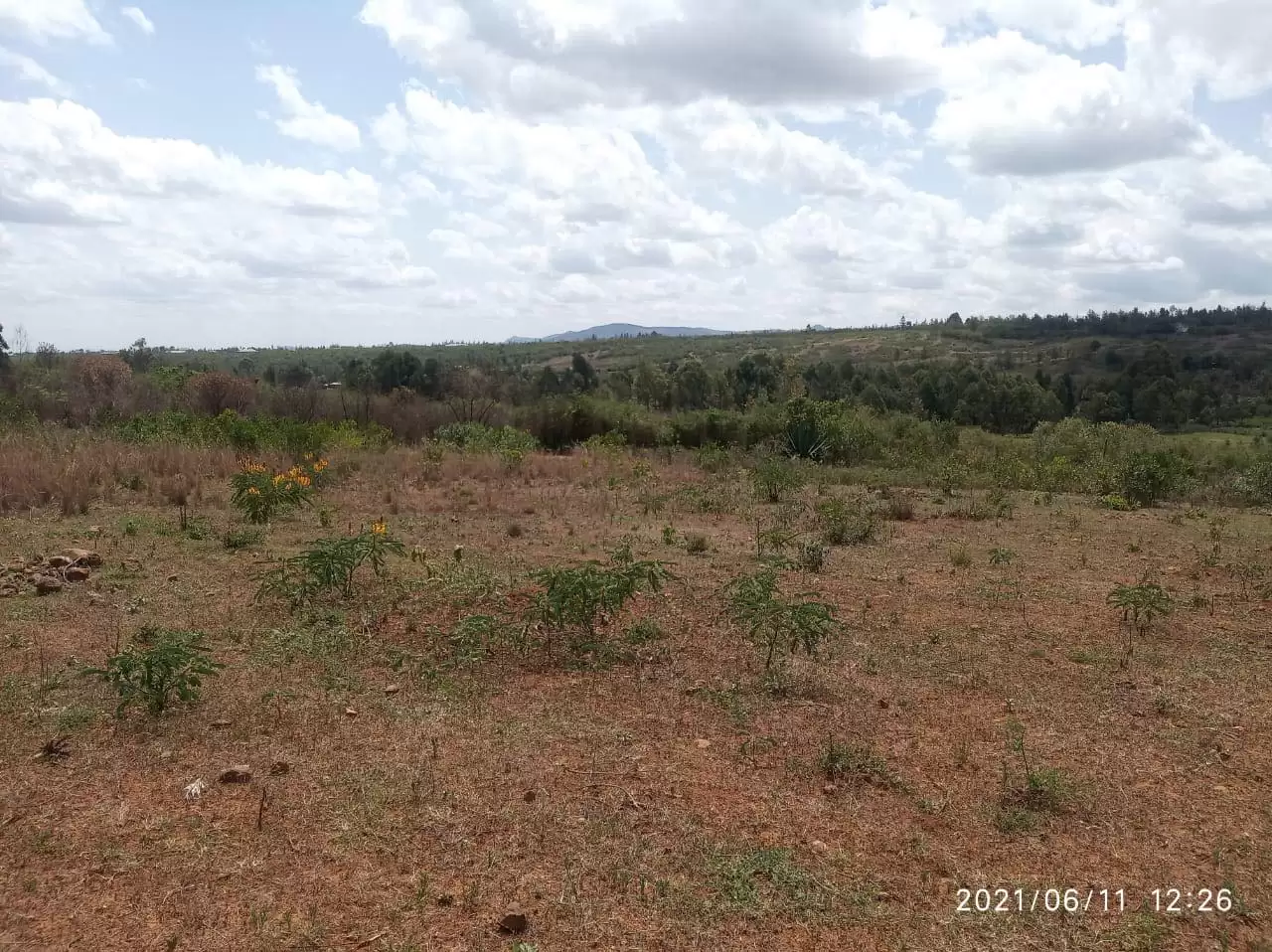 Land for sale in Nanyuki Mukima area Image