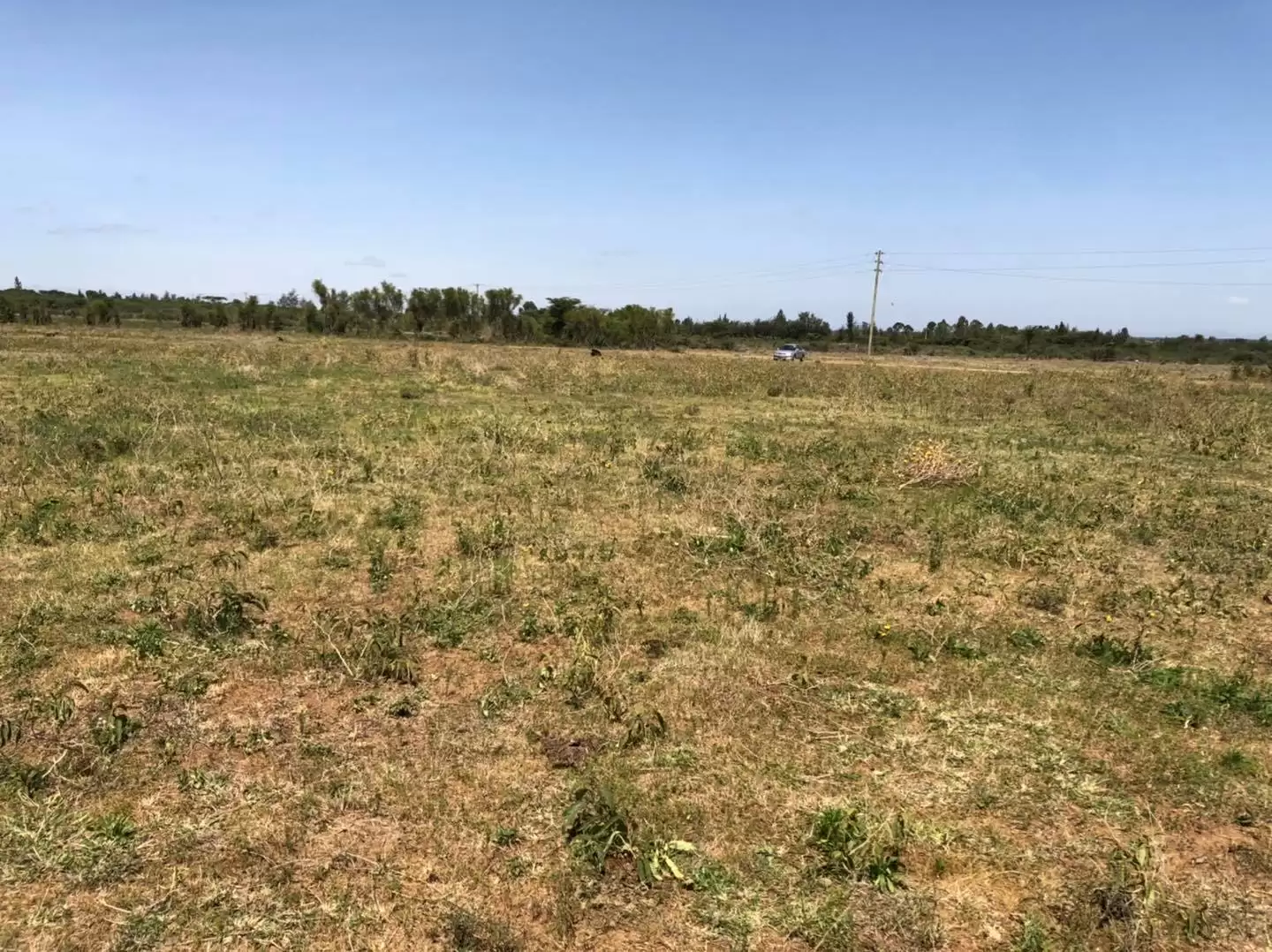 Land for sale in Nanyuki near Marumati Image