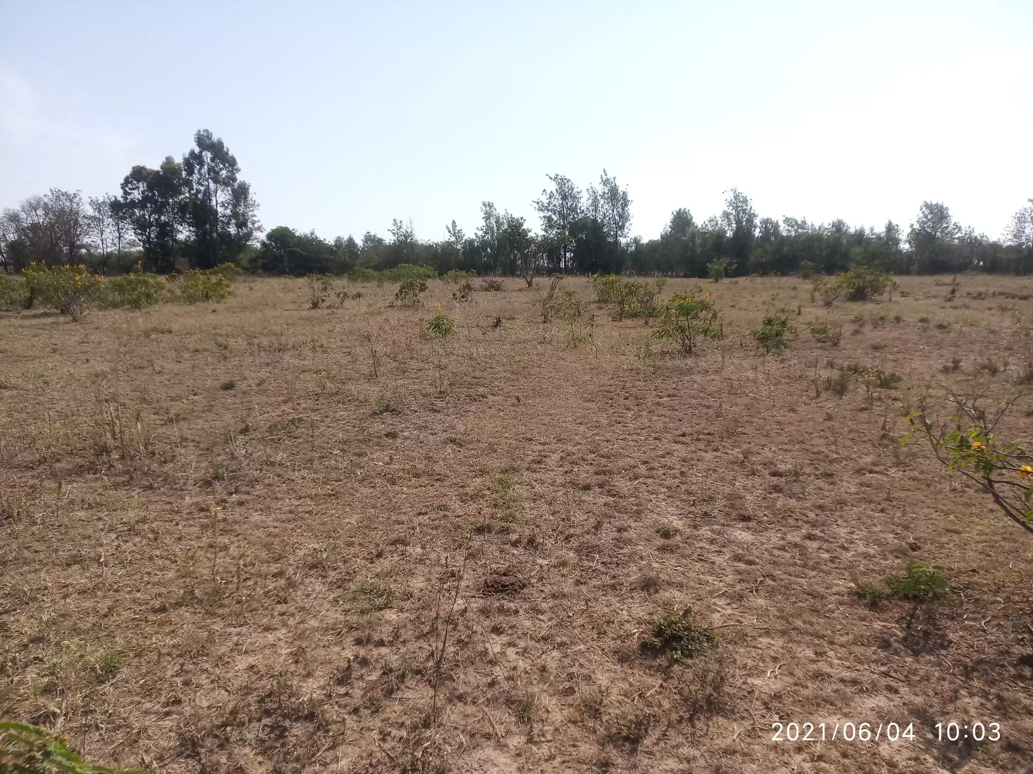 Land for sale in Nanyuki near Narumoro Image