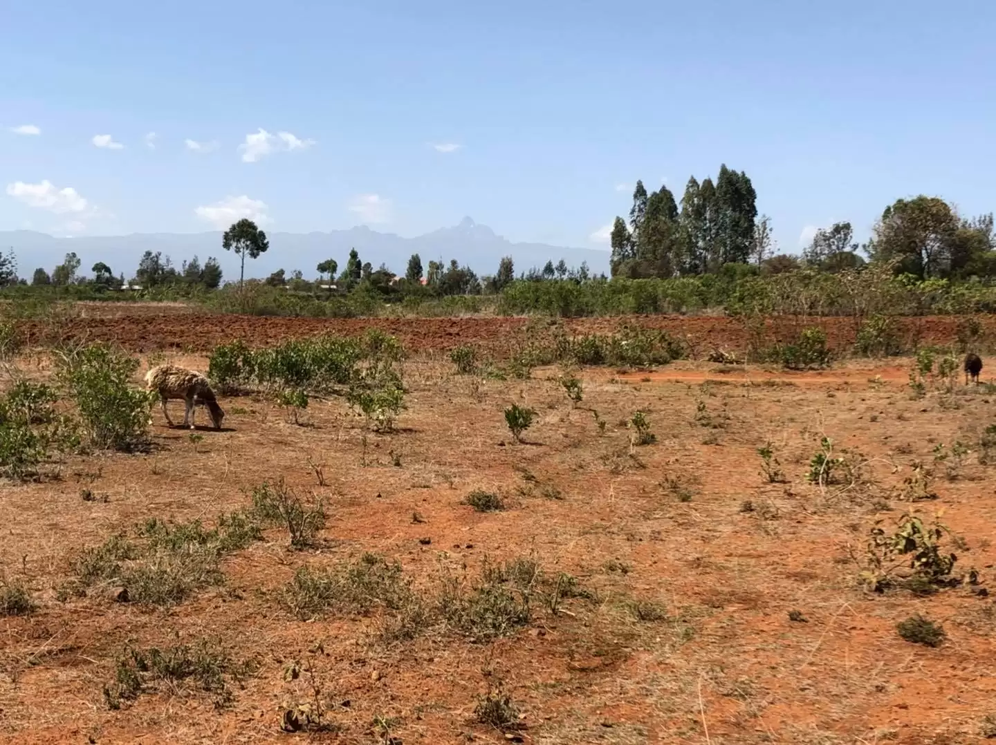 Land for sale in Nanyuki next to Marumati Image