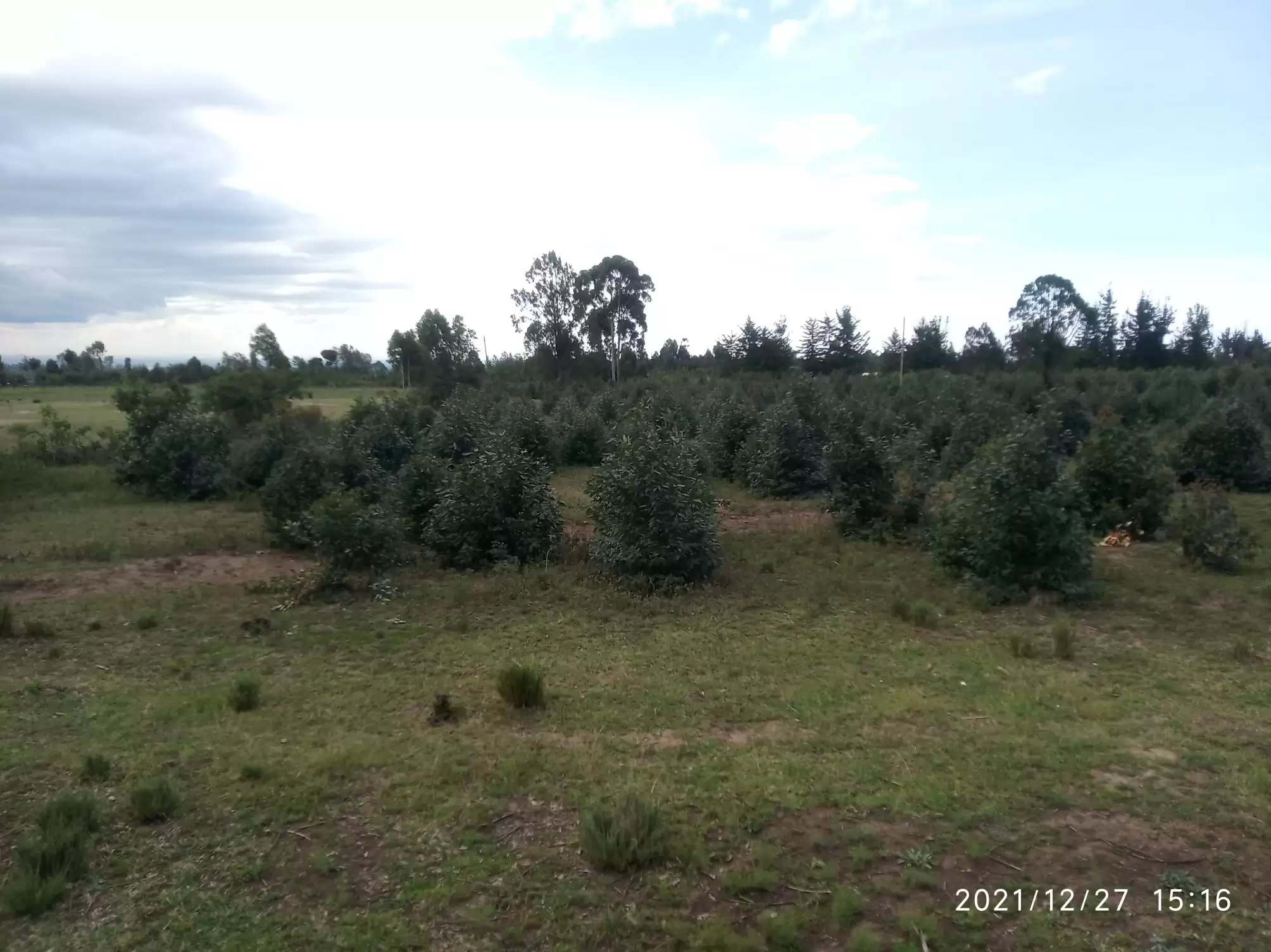 Land for sale in Nanyuki Image