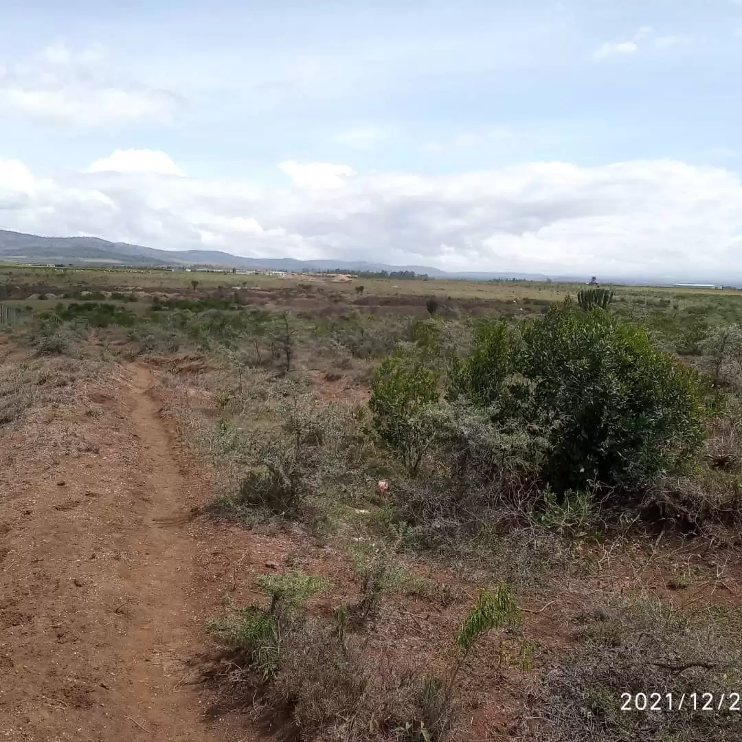 Land for sale in Nanyuki Image