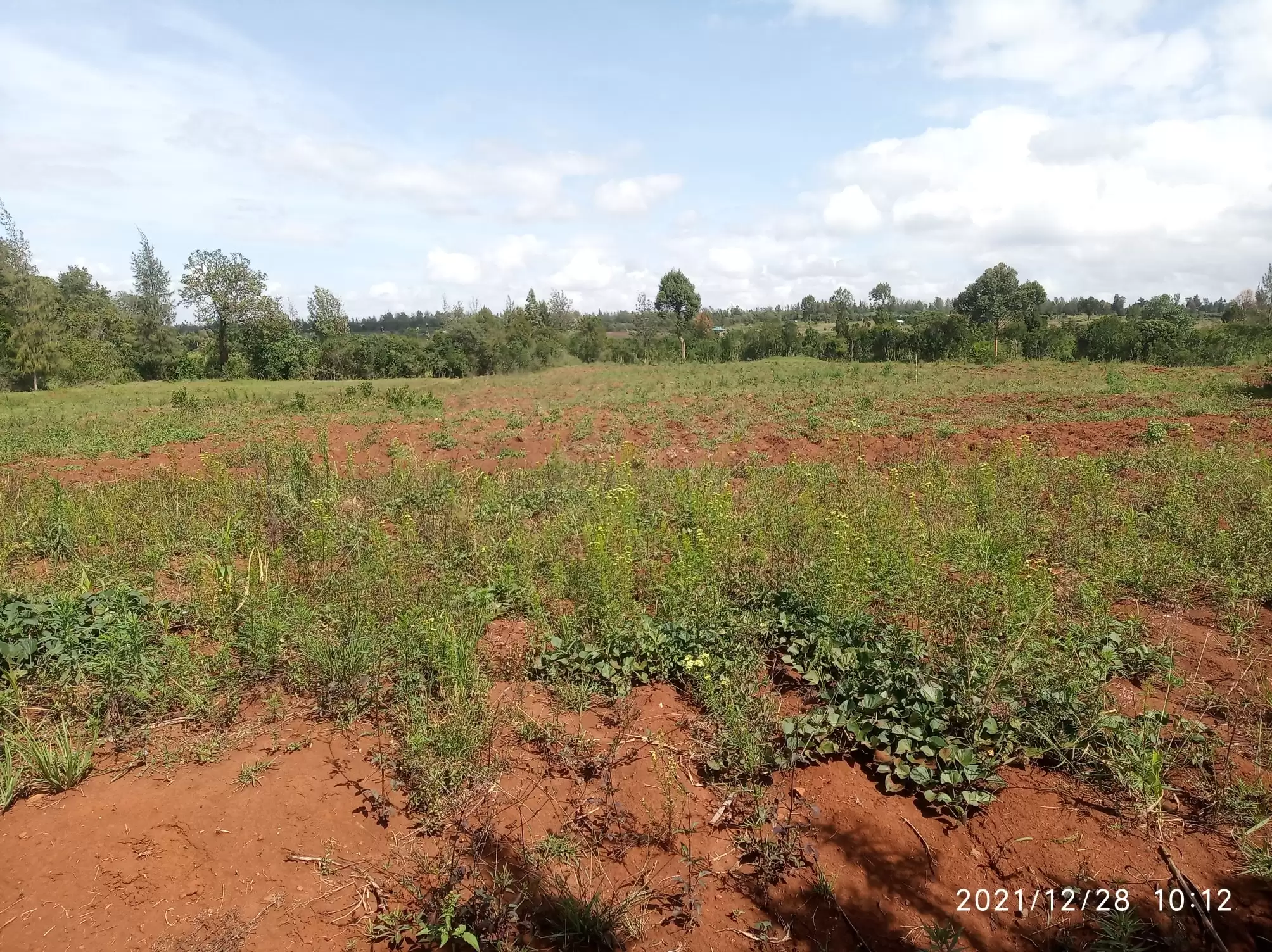 Land for sale in Nanyuki Image