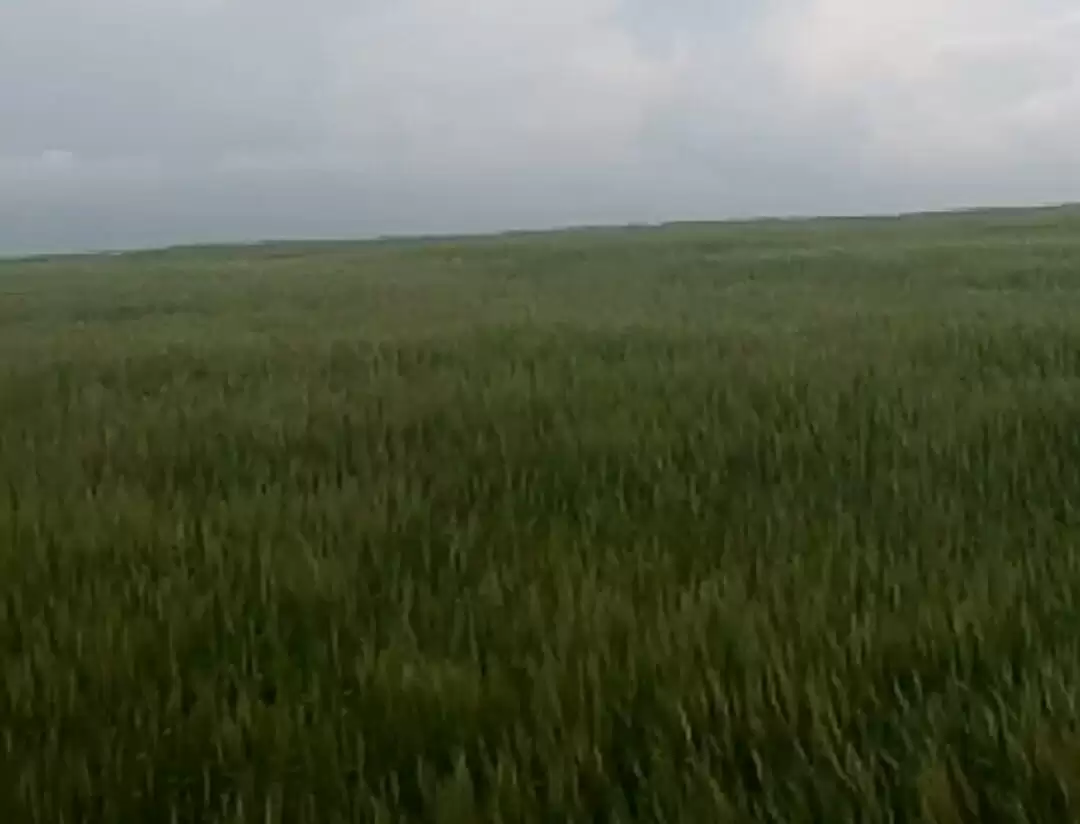 Land for sale in Narok Image