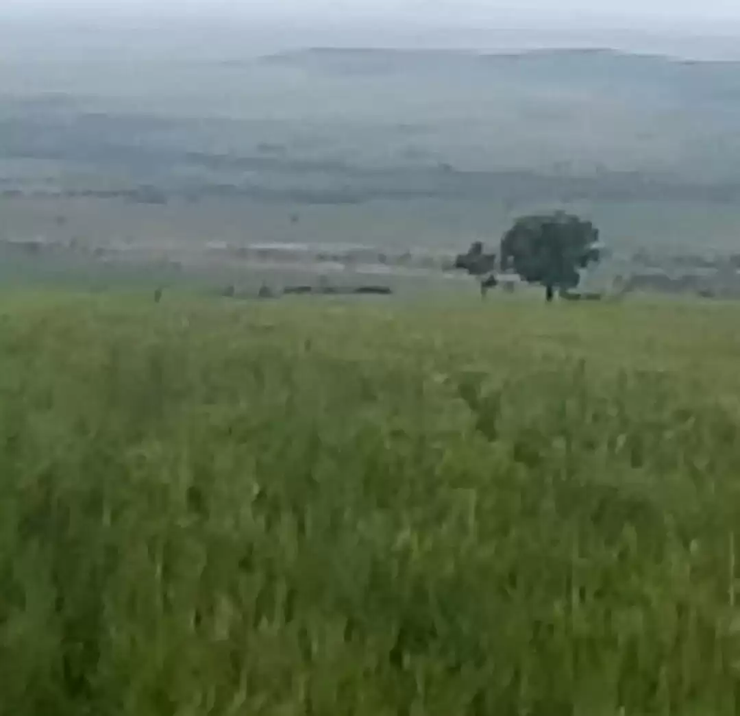 Land for sale in Narok Image