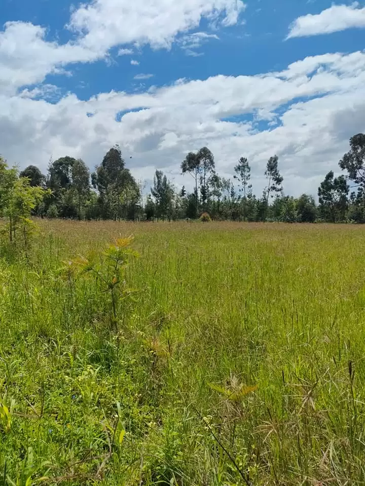 Land for sale in Narumoru Nyeri county Image