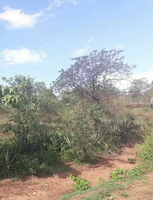 Land for sale in Ngaani Kitui County Image