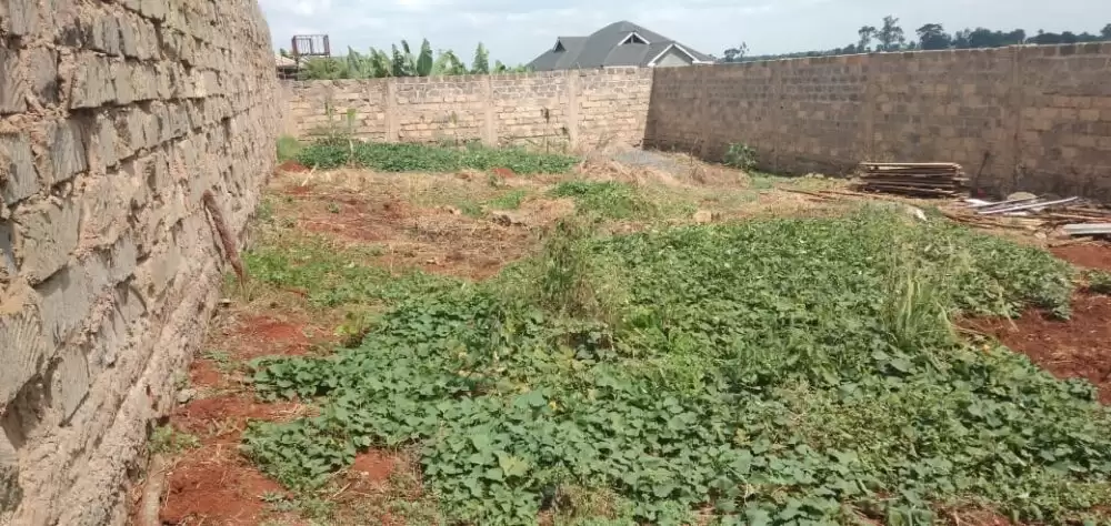 Land for sale in Ngoingwa Thika Image