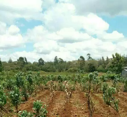 Land for sale in Ngong Kibiko Image