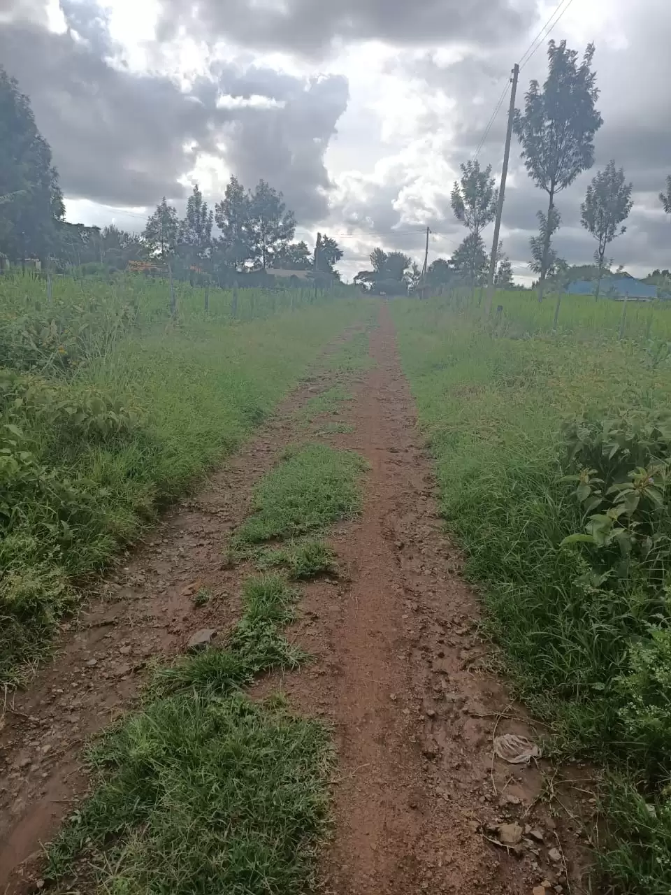 Land for sale in Ngong Olkeri Image