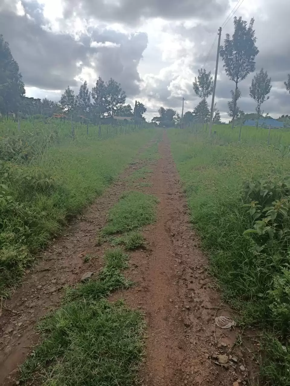 Land for sale in Ngong Olkeri in Ngong, Kenya Propscout