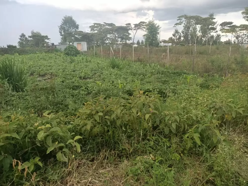 Land for sale in Ngong Olkeri in Ngong, Kenya | Propscout