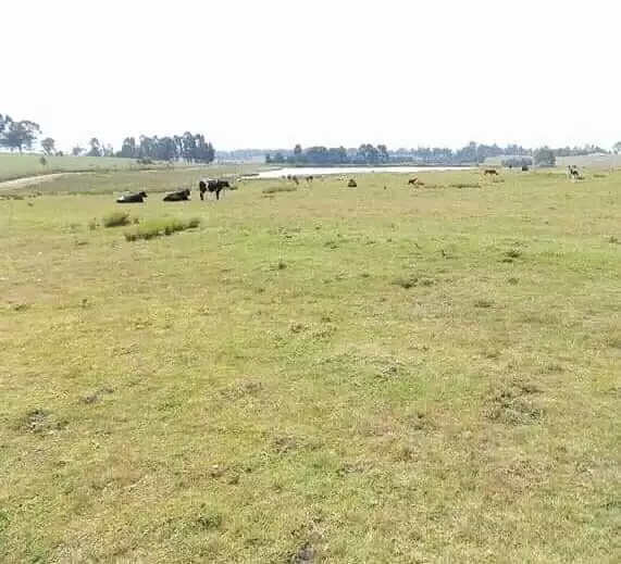 Land for sale in Njabini Kinangop Kwa Wangu Image