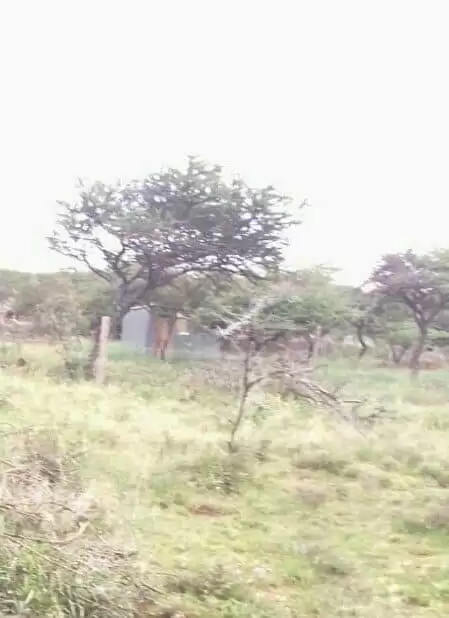 Land for sale in Nkatatael Ilbisil Namnga Kajiado Image