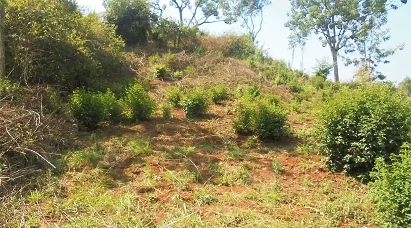 Land for sale in Nyeri Image