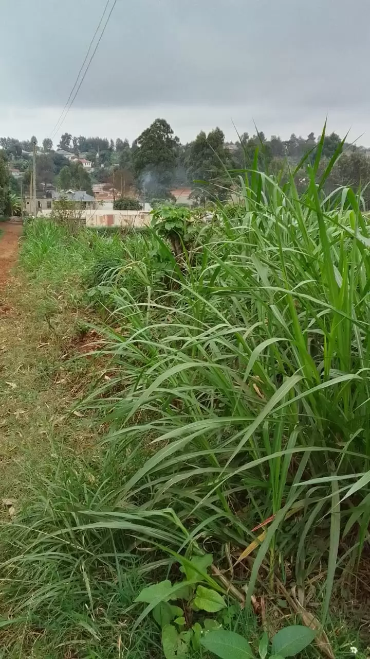 Land for sale in Ruaka Ndenderu in Ruaka, Kenya Propscout