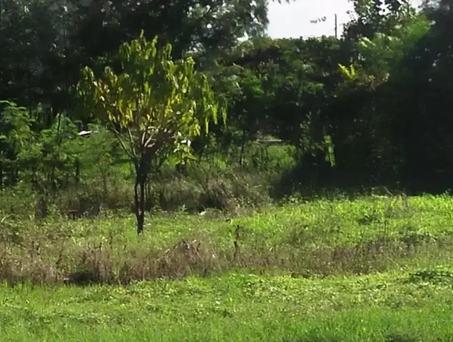 Land for sale in Ruiru Bypass Image