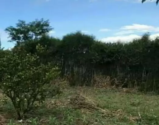 Land for sale in Ruiru Eastern Bypass Image