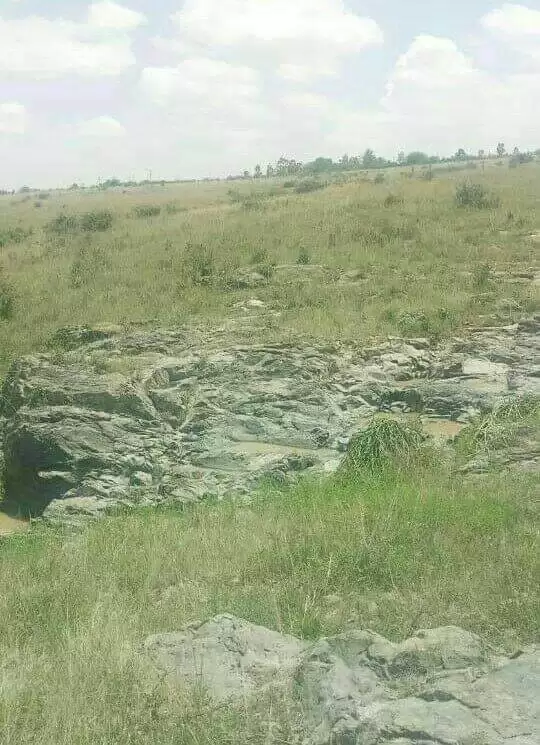 Land for sale in Thika town near del monte Image