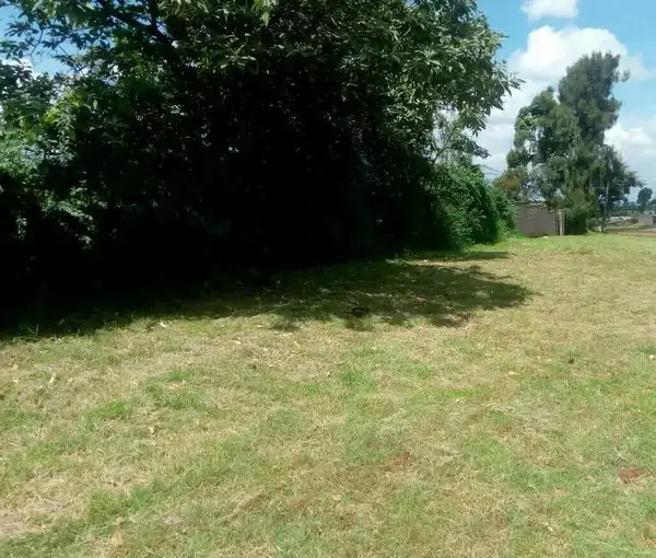 Land for sale in Tigoni Limuru road Image