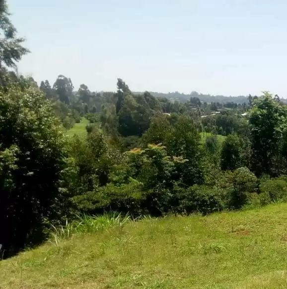 Land for sale in Tigoni redhill limuru road Image