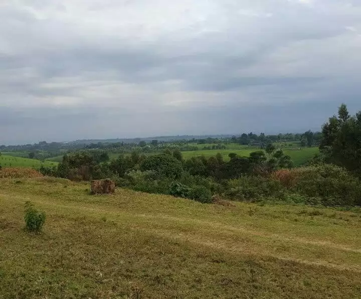 Land for sale in Tigoni Riara Ridge Image