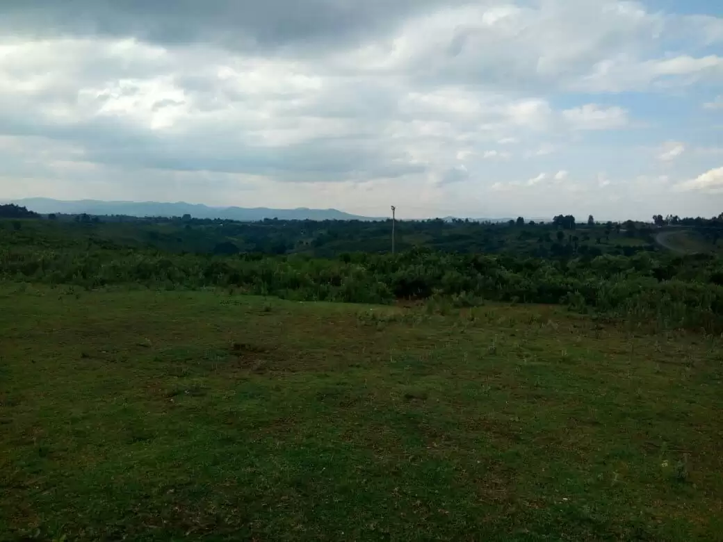 Land for sale in Timau Nanyuki Town Image