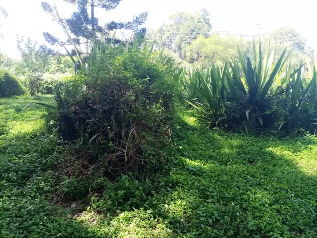 Land for sale in Upperhill Image