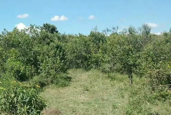 Land for sale Ng'arua Kinamba Laikipia County Image