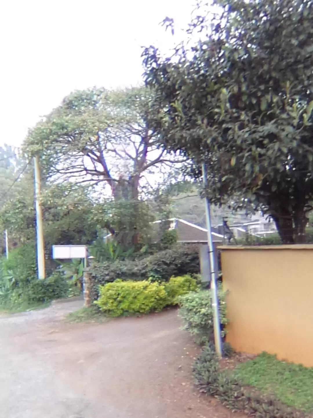 Land for sale Westlands Peponi Road Image