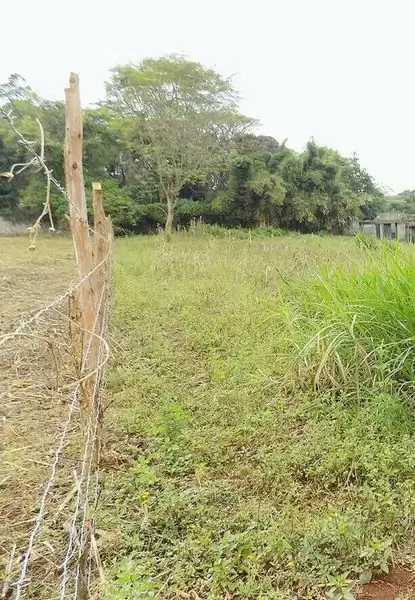 Land  half acre for sale in Runda Image