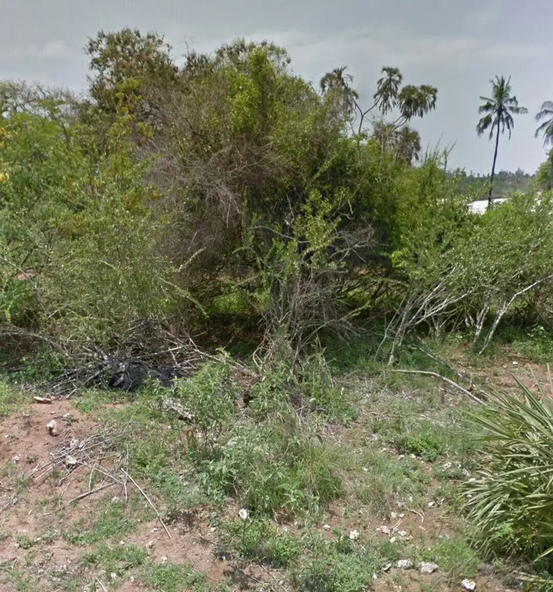 Land in Diani Kwale County for sale Image