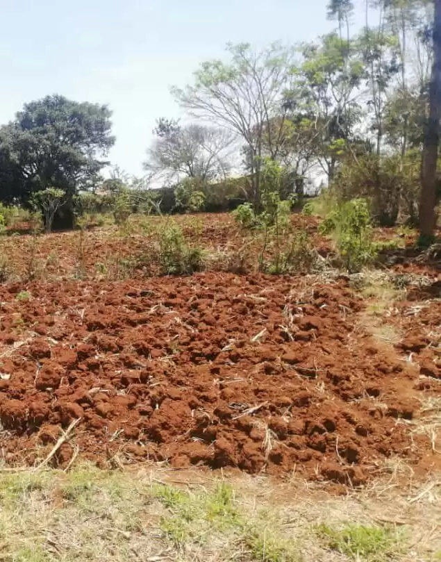 Land in Juja Kenyatta road for sale Image