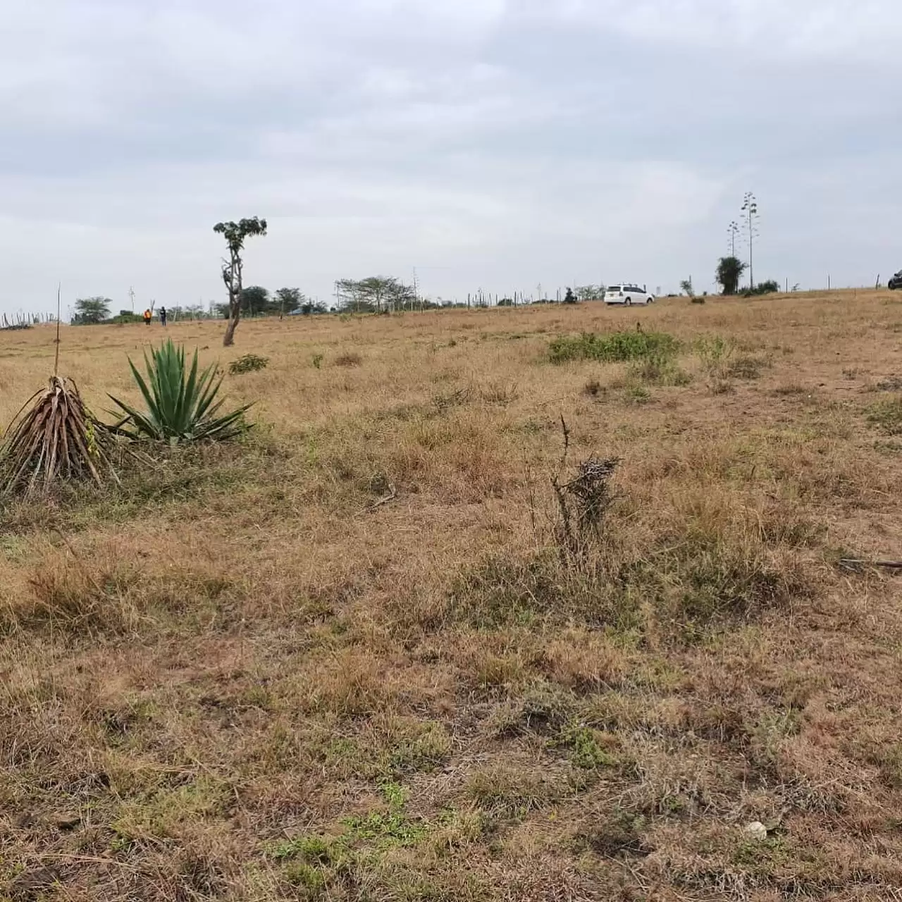 Land in Katani for sale Image