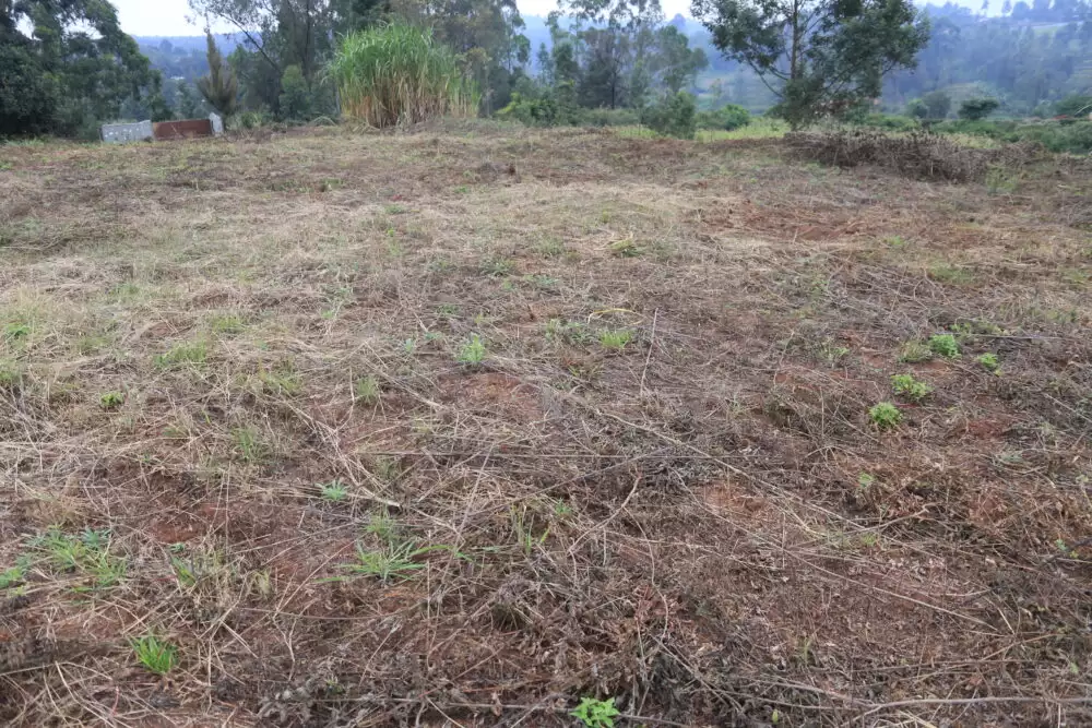 Land in Kerarapon Ngong for sale Image