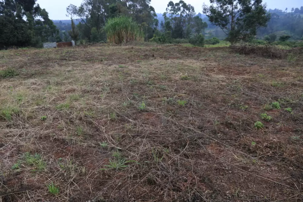 Land in Kerarapon Ngong for sale Image