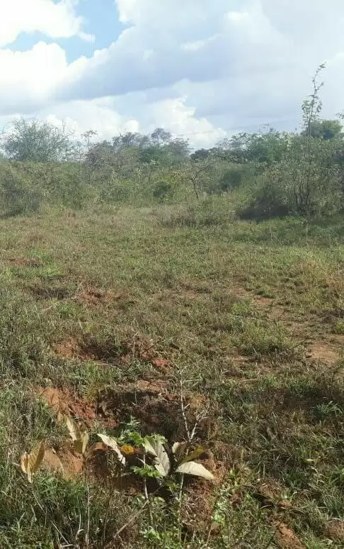 Land in Kibwezi for sale Image