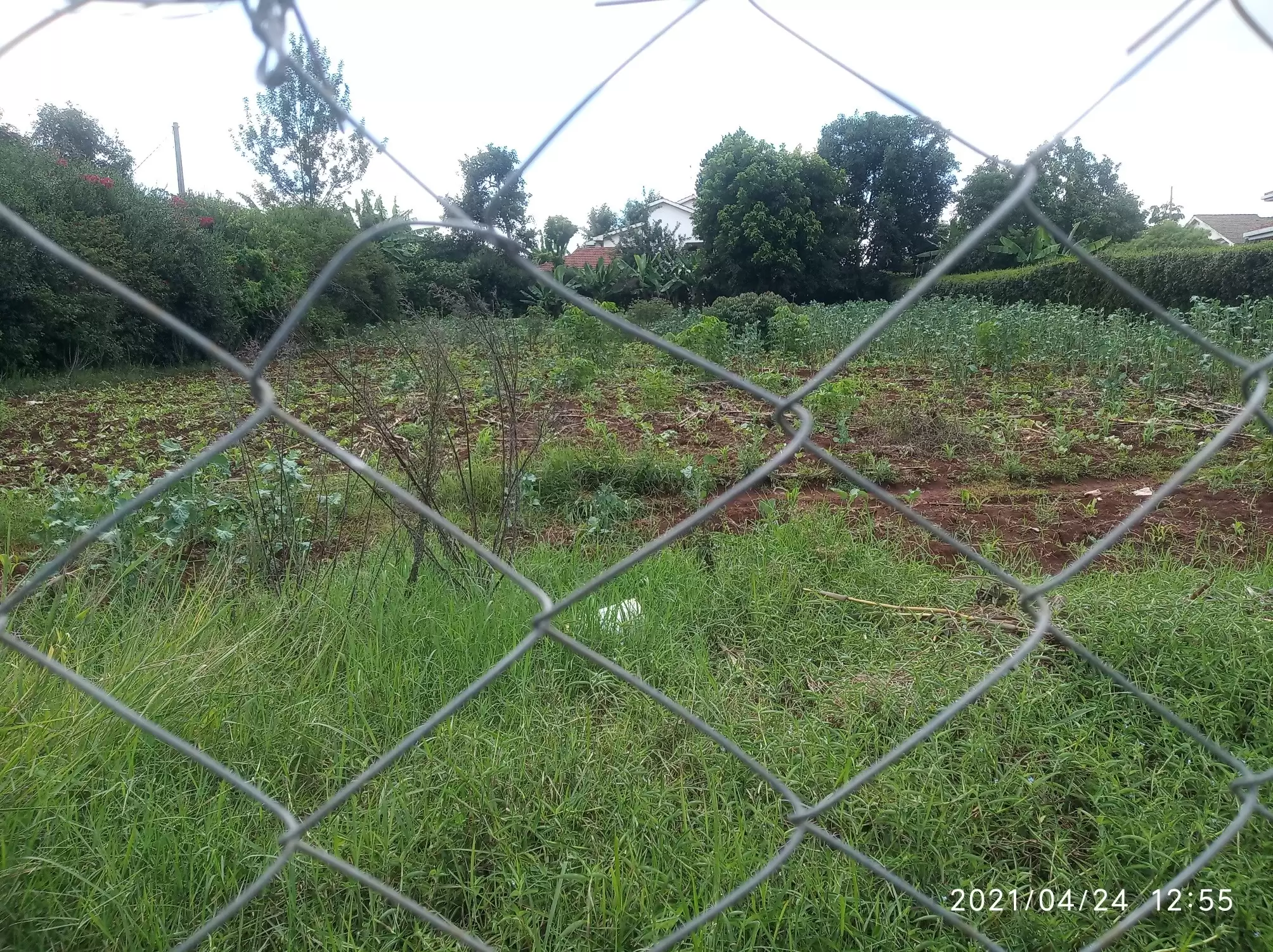 Land in Muthaiga North for sale Image