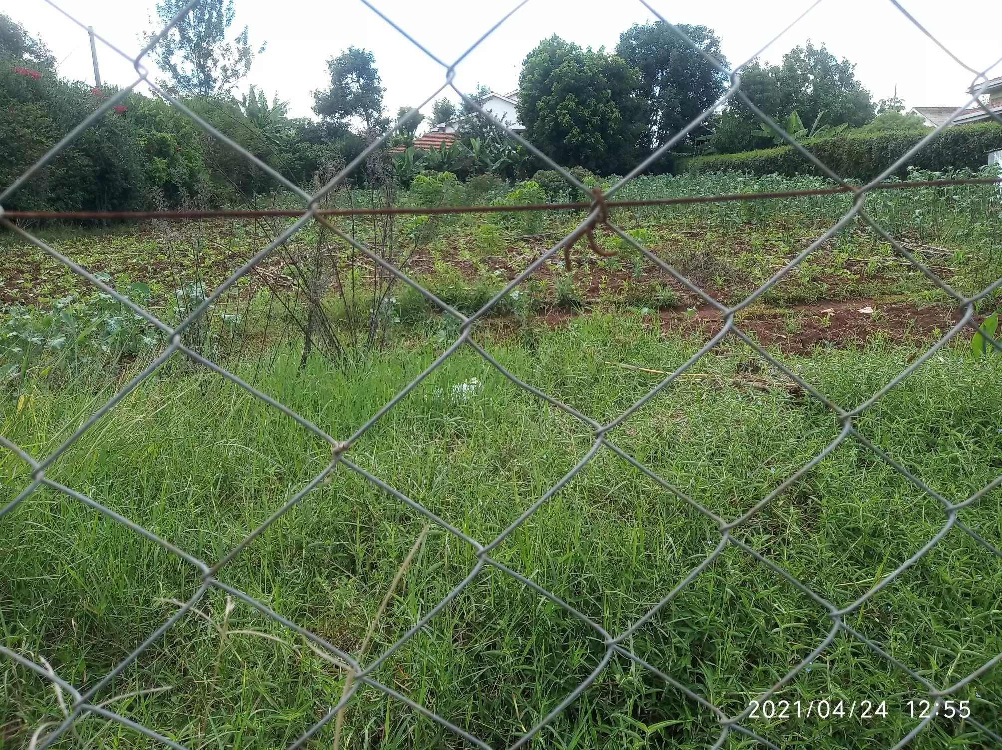 Land in Muthaiga North for sale Image